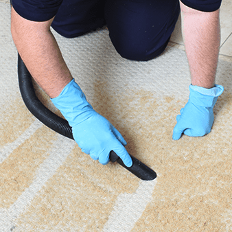 carpet cleaning services near me