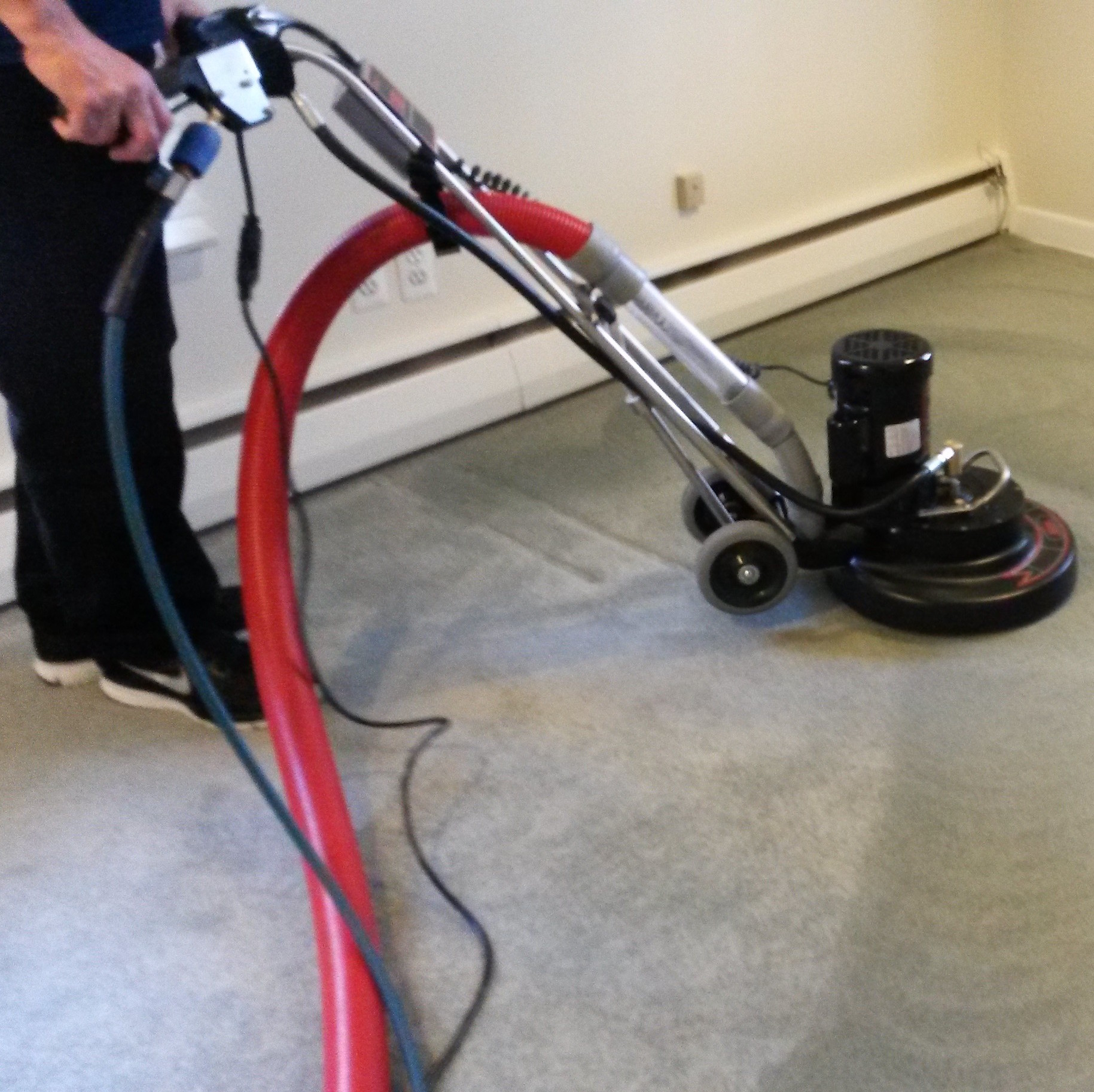 carpet cleaning services near me