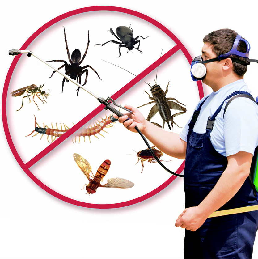 site-for-pest-control-service-on-behance